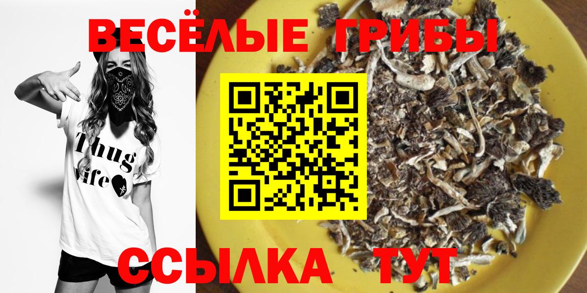 Галлюциногенные грибы GOLDEN TEACHER Уссурийск