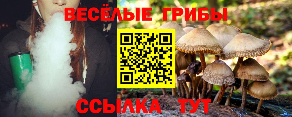 Галлюциногенные грибы MAGIC MUSHROOMS  Вход с VPN  Уссурийск 